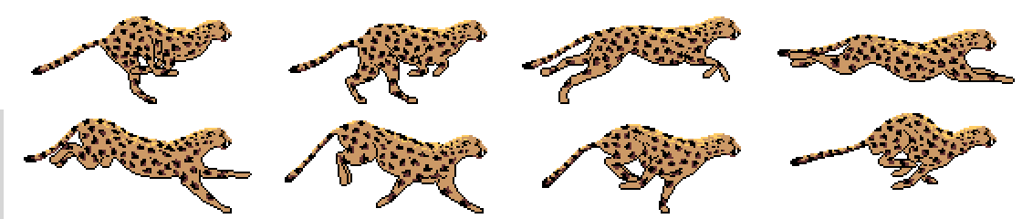 Cheetah strip